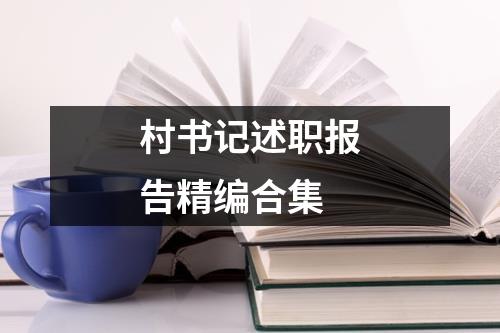 村书记述职报告精编合集